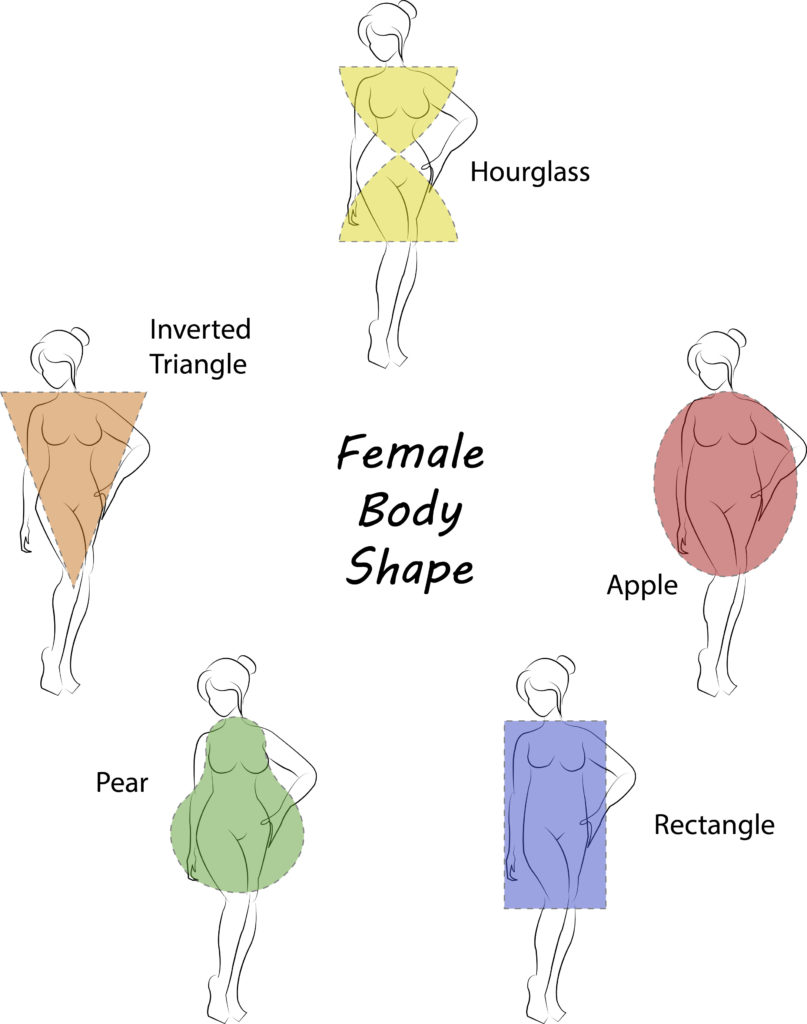 different body shapes for women